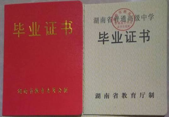 样本4
